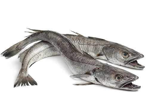 Panla Fish
